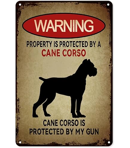 Adesivo Olografico Cleveland Indians Wahoo - Decalcomania Impermeabile Per Tifosi MLB - Foto 5