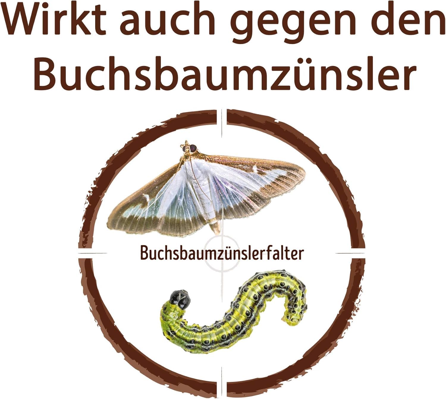 Substral Celaflor Schädlingsfrei Careo Konzentrat für Zierpflanzen, 250 ml - gegen Blattläuse, Buchsbaumzünsler, etc. 4