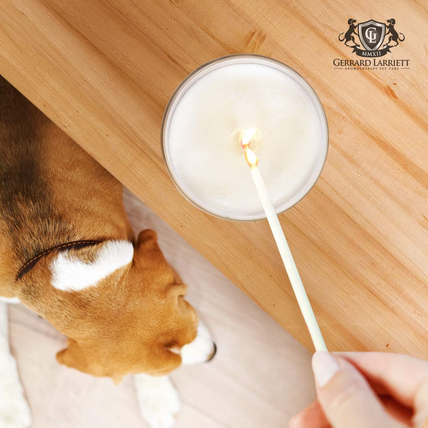Lavender & Chamomile Aromatherapy Deodorizing Soy Candle for Pets, Pet Odor Eliminator & Animal Lover Gift - 6 OZ (170 g): Home & Kitchen