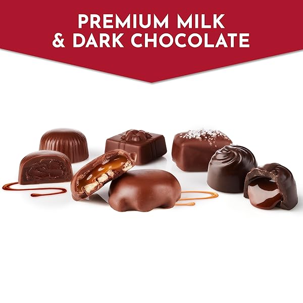 FANNIE MAY, MILK AND DARK CHOCOLATE HOLIDAY GIFTS, ASSORTED CHOCOLATES, CHOCOLATE GIFT BOX, 7 OZ