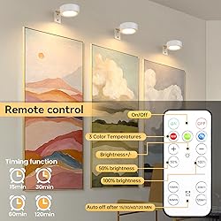 2-Pack Picture Light Battery Operated, LED Painting