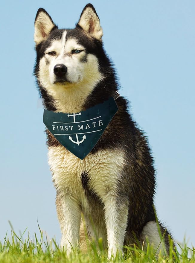 Amazon Com Thiswear Nautical Gifts First Mate Dog Anchor Bandana