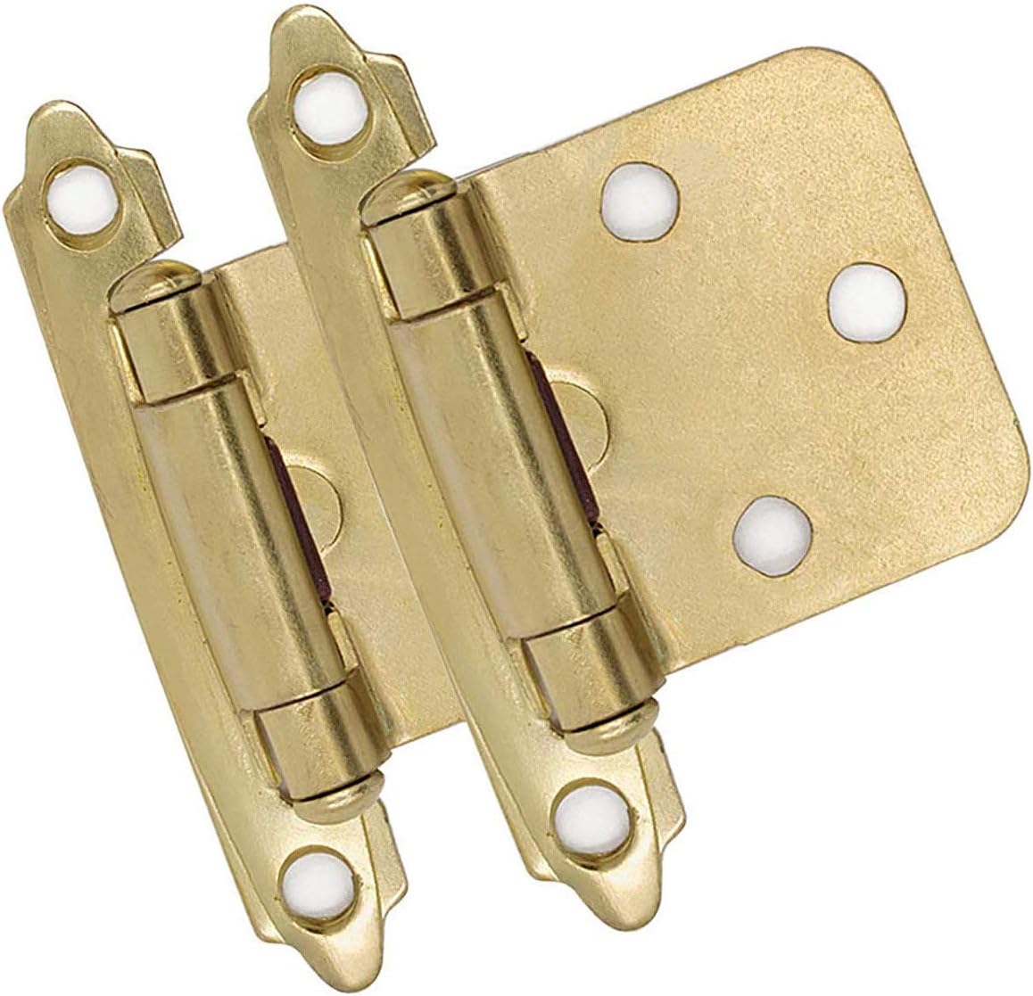 20 Pair (40 Units) goldenwarm Overlay Cabinet Hinges Brushed Brass Flush Mount Cabinet Hinges - SCH30BB Gold Decorative Hinges for Cabinets Bathroom and Cupboard