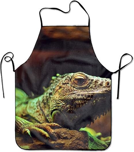 Amazon イグアナ爬虫類ぼやけてh型 エプロン おしゃれ レディースエプロン かわいい プリーツ 無地 母の日 保育士 幼稚園 料理教室 美容師 内祝い プレゼント エプロン オンライン通販