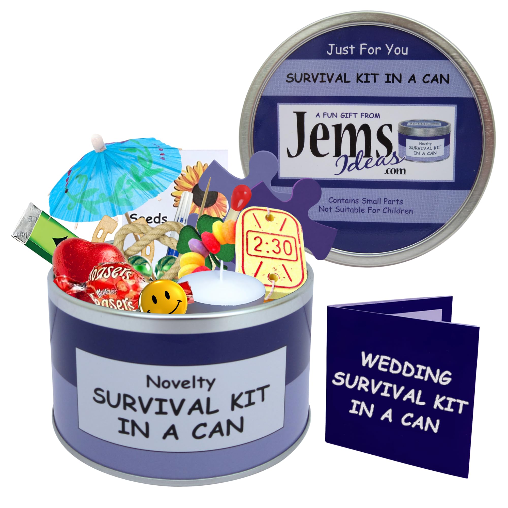Survival Kit In A Can Brand - Wedding Day Survival Kit. Funny Gift for Newlyweds, Marriage, Mr & Mrs, Honeymoon Present & Card. Customize Your Can Colour (Purple/Lilac)