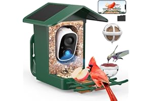 PeckCam® Bird Feeder with Camera Solar Powered, AI Identify & Auto Capture with 32GB Card, 2K HD Live Video Smart Bird Feeder Camera Instant Notifications in Backyard, Gift for Bird Lovers