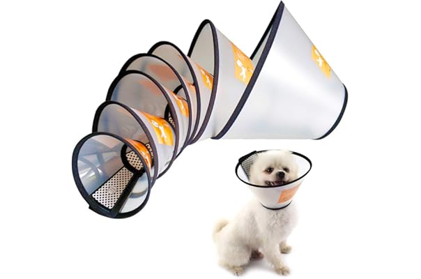 dog cone cost