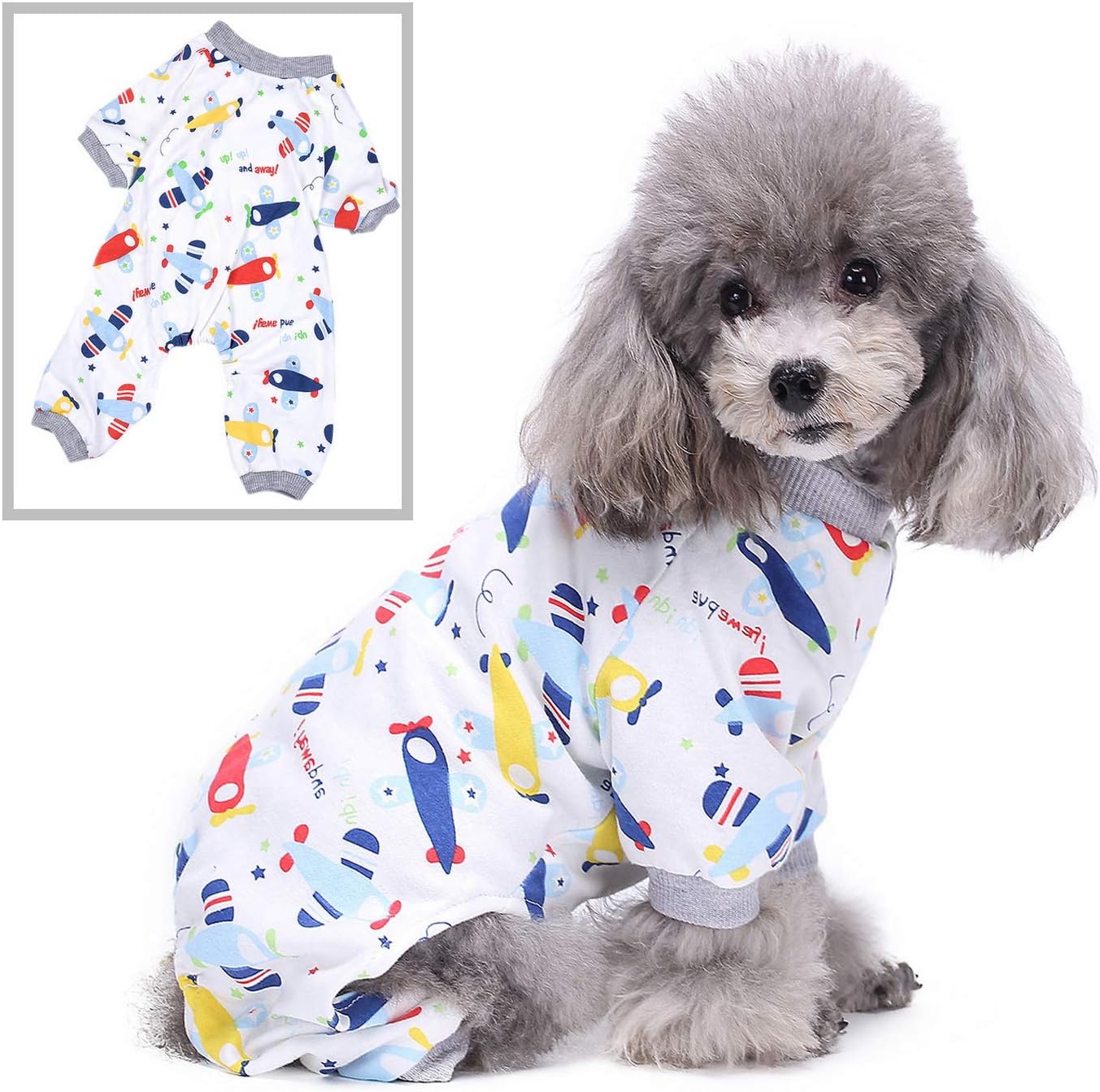 dog sleepwear