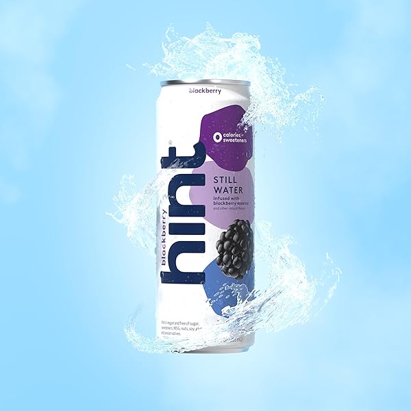 HINT FRUIT-INFUSED CANNED WATER, BLACKBERRY – PURIFIED FLAVORED WATER WITH ZERO CALORIES, NATURAL FLAVORS, AND SUGAR FREE – 12 FL OZ CANS (PACK OF 12)