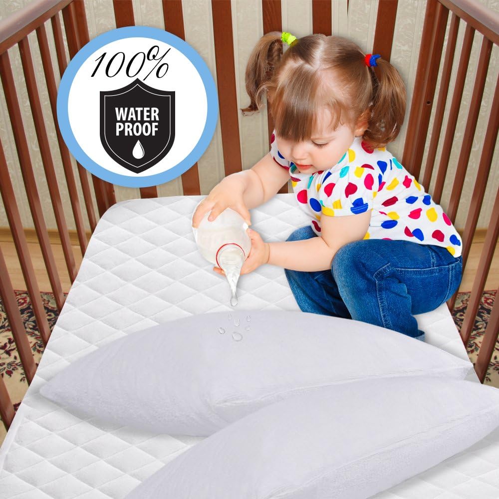 King Pillow Protector Covers - Waterproof, Allergy, Dust, Bed Bug, and Mite Proof Zippered Protectors - Pillowcase Zipper Cover Allergen Case Pack For Sleep Pillows - Soft Cotton Terry - 2: Home & Kitchen