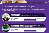 Westland Sulphate of Ammonia Vegetable Crop Food 1.5 kg view 3