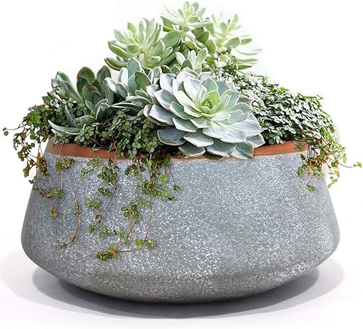Amazon Com Large Succulent Planter Pots Ceramic Indoor Outdoor