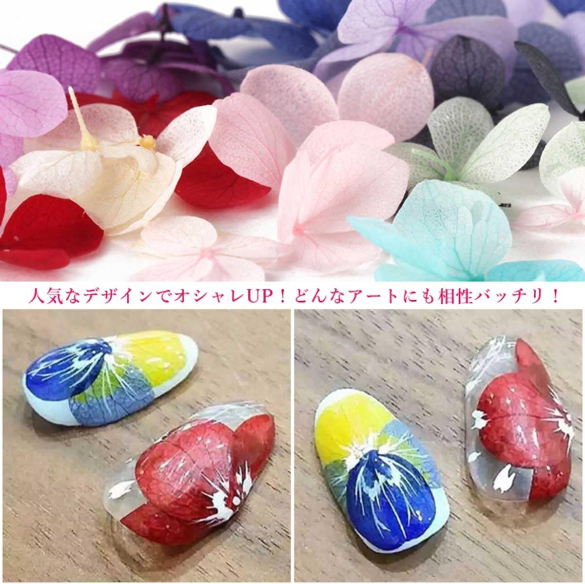 Amazon 紫陽花ドライフラワー ネイル押し花 ネイル アートパーツネイルパーツ ハンドメイドアクセサリー 36枚入り１２色入り 収納ケース付き埋め込 Rain Queen ネイルアートパーツ 通販