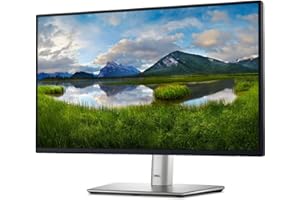 Dell 24 Monitor - P2422H - Full HD 1080p, IPS Technology, ComfortView Plus Technology