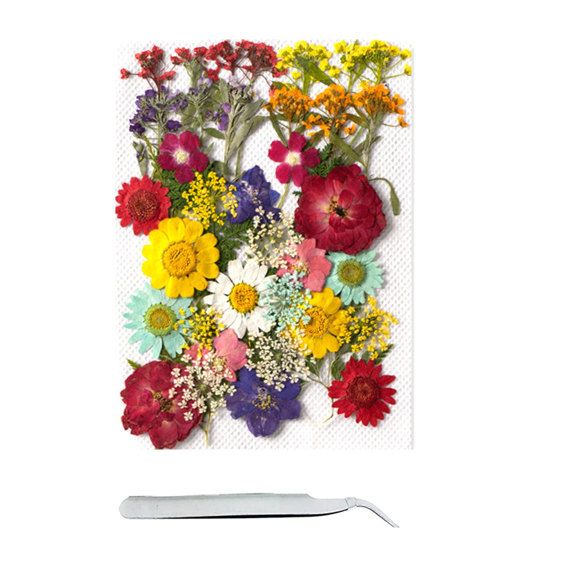 Cayway 40 Pcs Real Pressed Flowers Dry with Tweezers Set, Dried Pressed Flowers Colorful Real Pressed Flowers for Resin Scrapbooking DIY Art Crafts, Epoxy Resin Jewelry, Soap Making