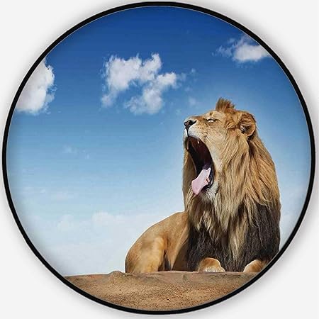 Amazon Com Aluoni Safari Decor Colorful Round Mat Cute Floor