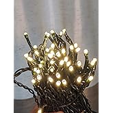 33ft 100-LED Outdoor Waterproof Warm White String Lights - Works with Low Voltage Landscape Lighting Systems (12V) (Product i