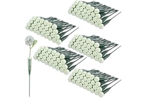 BRUISLARD 150 Pcs 6 Inch Floral Water Tubes Plastic Flower Tubes with Rubber Caps for Flower Stem Bouquet Arrangements Supplies