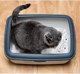 Nobleza Silica Cat Litter Crystals 7.6L 3kg Ultra Absorbent Odour Control Kitten view 7