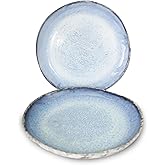 RoRo Rustic Coral Handmade Ceramic Stoneware Dinner Plates and Bowls, Reactive Blue Set of 2, Textured Finish (Coral, Dinner Plate)