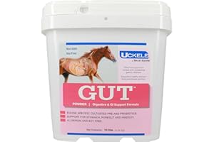 Uckele by SmartEquine Gut™ Powder | Healthy Gut Probiotics for Horses | Equine Prebiotic & Probiotic Powder | Horse Stomach Supplement | 10 lb Bucket