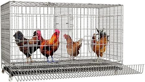 Amazon Co Jp 鶏小屋家庭用繁殖ケージ自動肥料除去鶏小屋鶏小屋折りたたみケージ多層アヒルガチョウケージ L ホーム キッチン