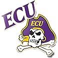 Desert Cactus East Carolina University Sticker Pirates ECU Vinyl Decal Laptop Water Bottle Car Scrapbook (4 Inch Set V1)