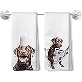 DOFQZ Funny Chocolate Labrador Retriever Bathroom Humor Kitchen Towels Set of 2, Labrador Retriever Lover Gifts,Toilet Paper Reading Dog Dish Tea Towels for Kitchen Decor, 16x24 Inch,CC155