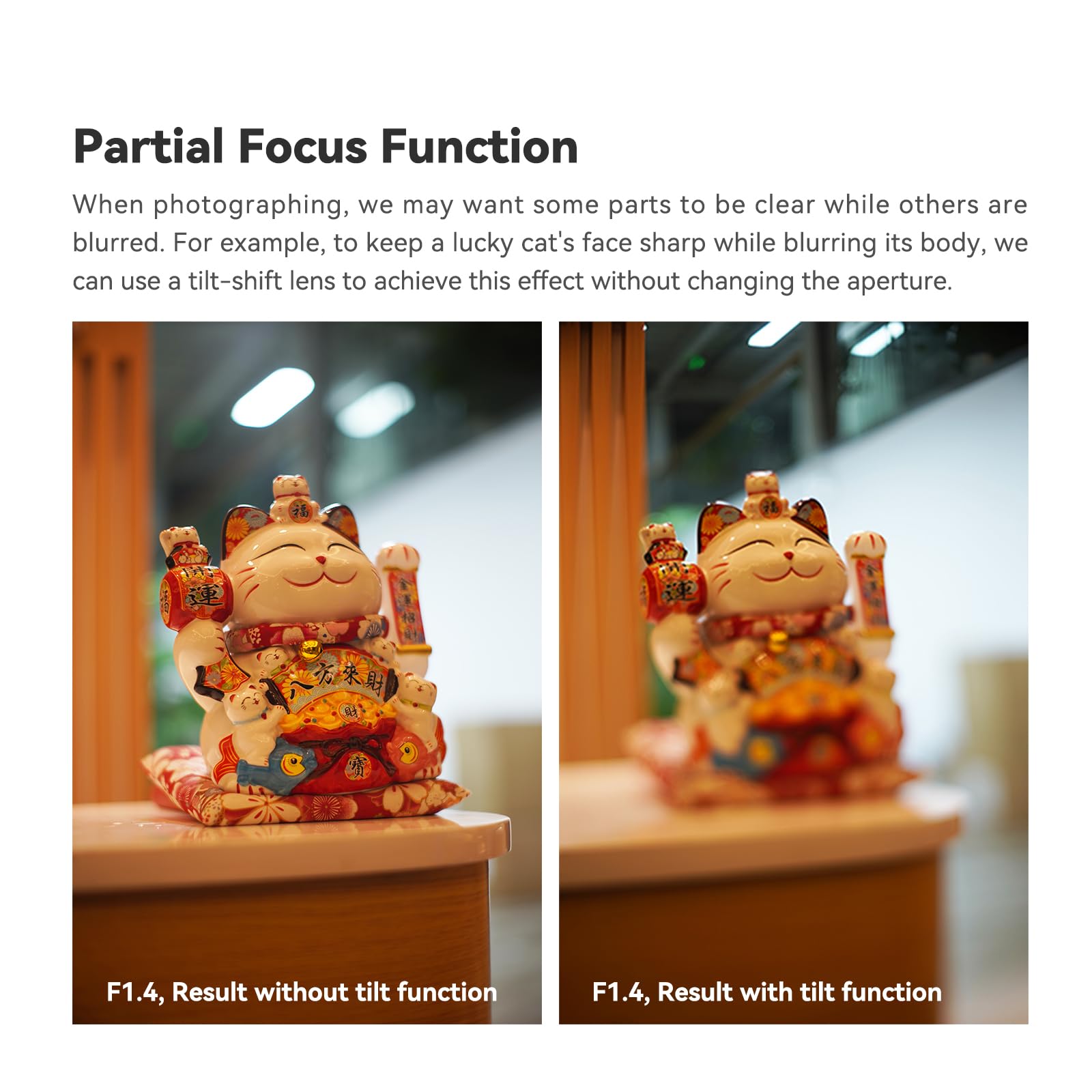 TTArtisan Tilt 50mm f1.4 Lens Full Frame Manual Focus Portrait Lenses Mirrorless Camera for E Mount A7 A7R A7S Series A7C A9 A9II A1 A5100 A6000 A6100 A6400 A6600 NEX-5 NEX-3 Series NEX-7