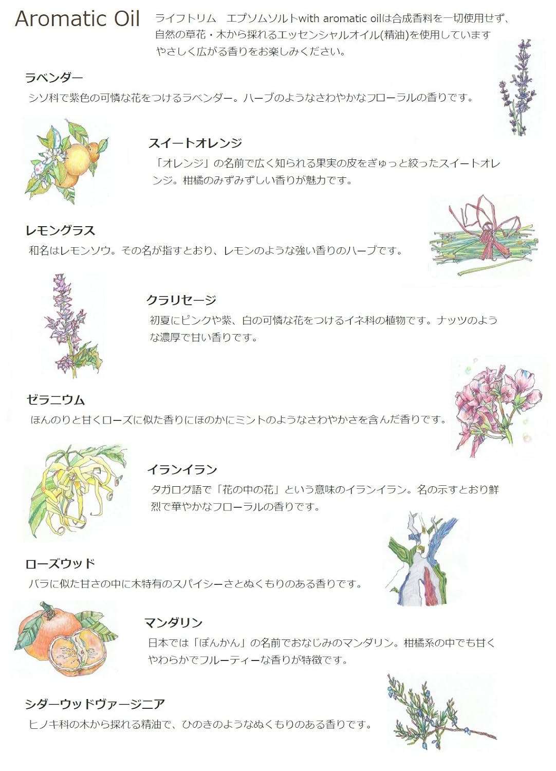 すべての美しい花の画像 トップ100イランイラン 花の中の花