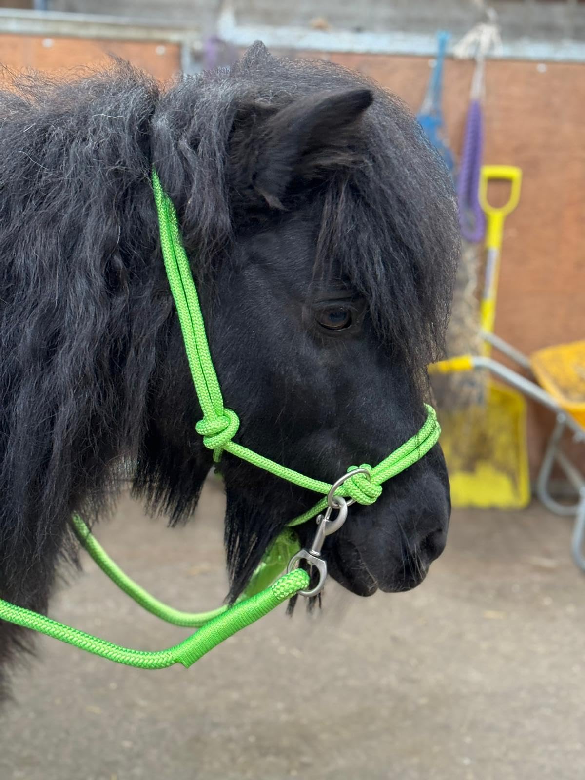 Rope headcollar with Reins for use of Bitless Horse Riding Full to Mini Shet 5 Colours (Neon Green, Full)