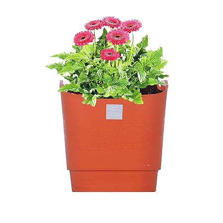 Pepper Agro Flower Pots Vertical Garden Wall Hanging Planter Terracotta Set of 24