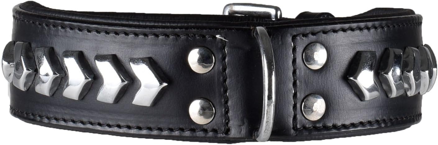 Black Star Maddog Deluxe Leather Luxury Dog Collar Large Black