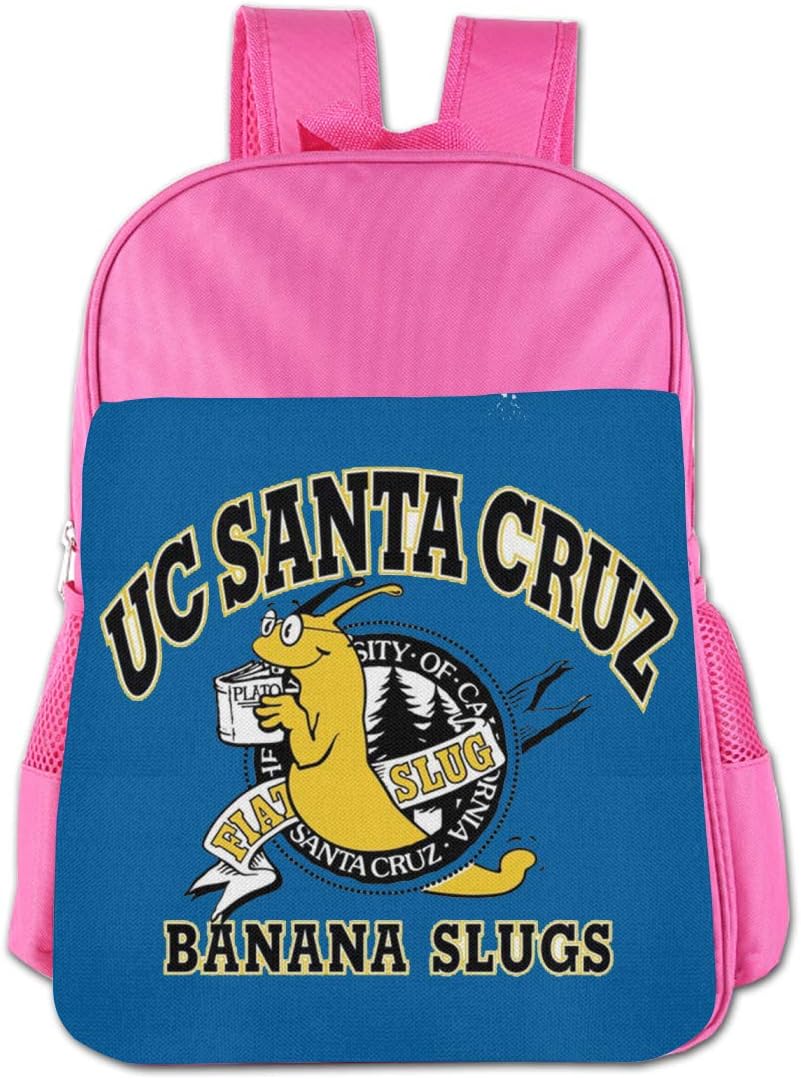 santa cruz mini backpack