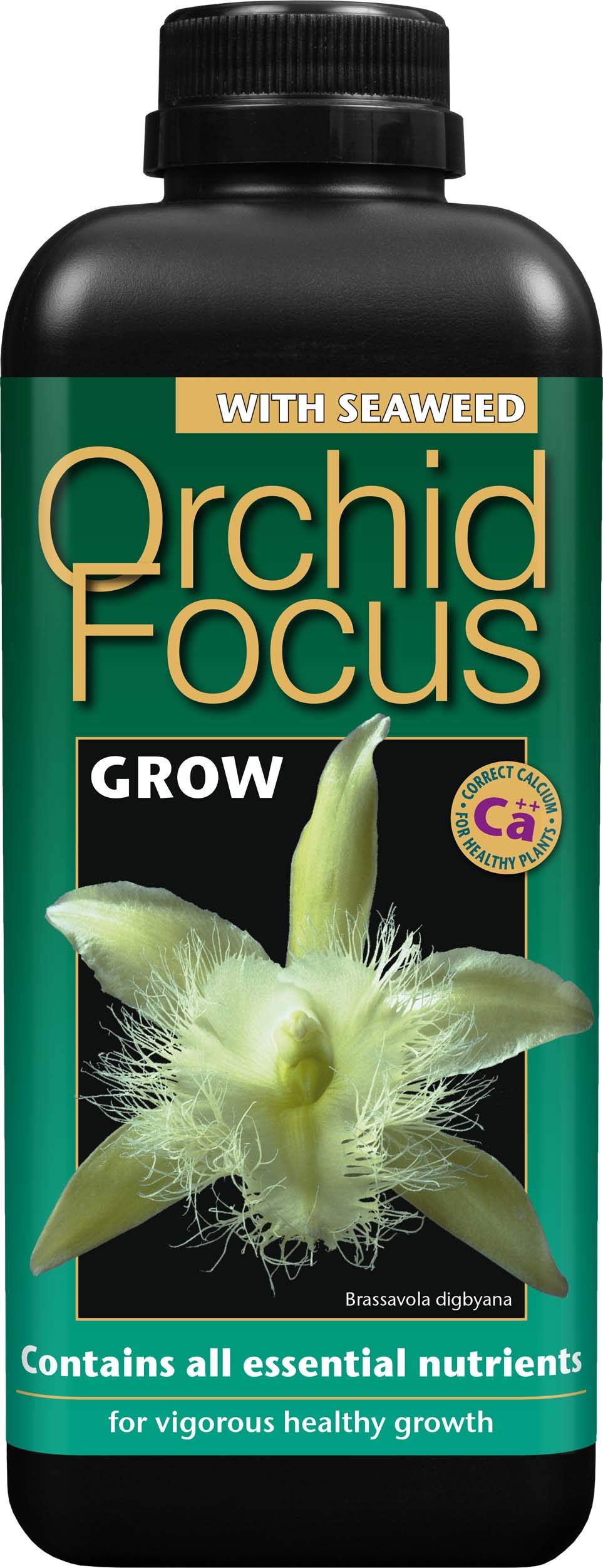 Growth Technology Ltd GTOFG1 Orchid Focus Grow 1 Litre
