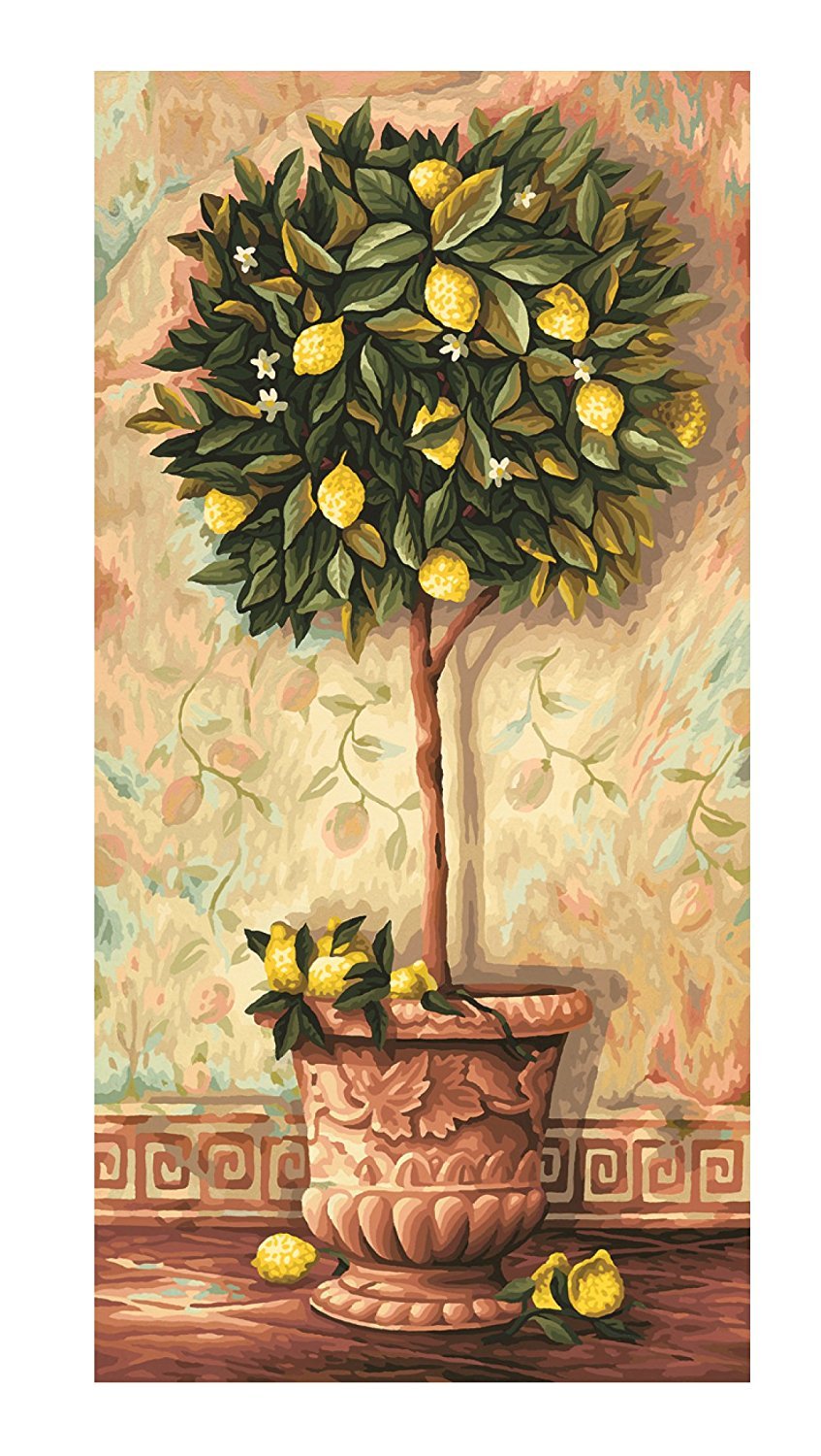 Malvorlage Zitronenbaum Coloring and Malvorlagan