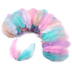 Soarer 300pcs Macaron Rooster Feathers Bulk