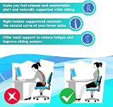 m zimoon 2 Pack Mesh Back Support Lumbar Cushion Ergonomic Office Chair view 4