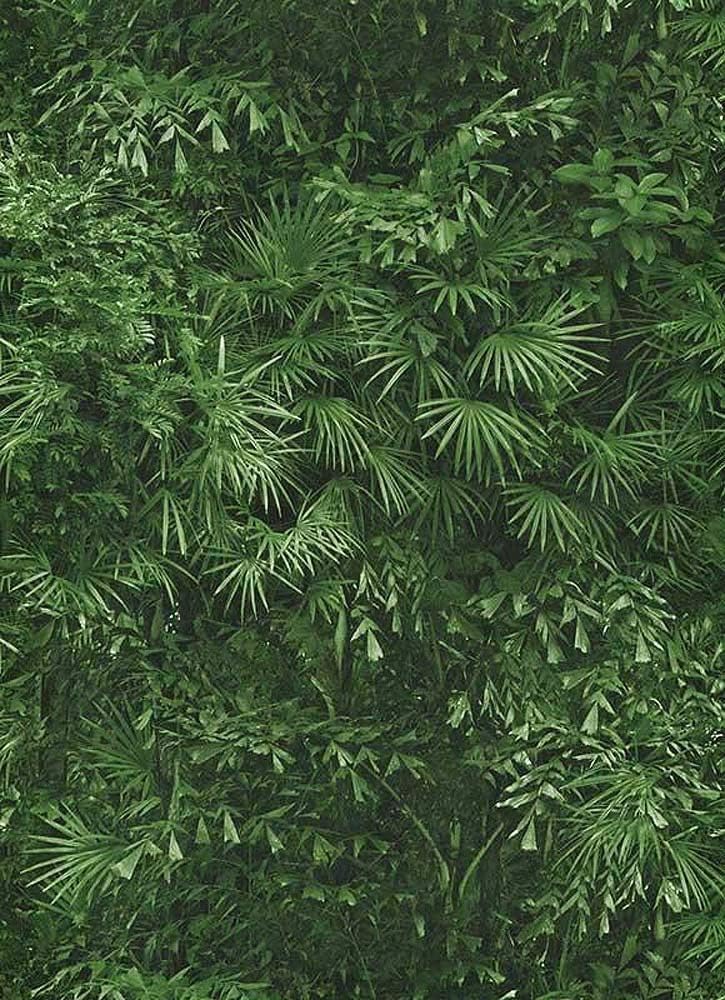 Tropical Leaf Jungle Wallpaper Leaves Forest Textured Paste Wall Vinyl erismann from YöL