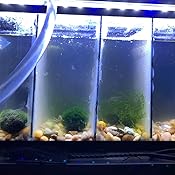 uv sterilizer for 10 gallon aquarium