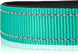 Joytale Reflective Dog Collar XS Teal Soft Neoprene Padded Nylon view 4