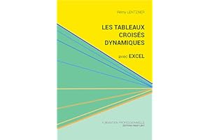 Les tableaux croisés dynamiques avec Excel: Pour aller plus loin dans votre utilisation d'Excel (French Edition)