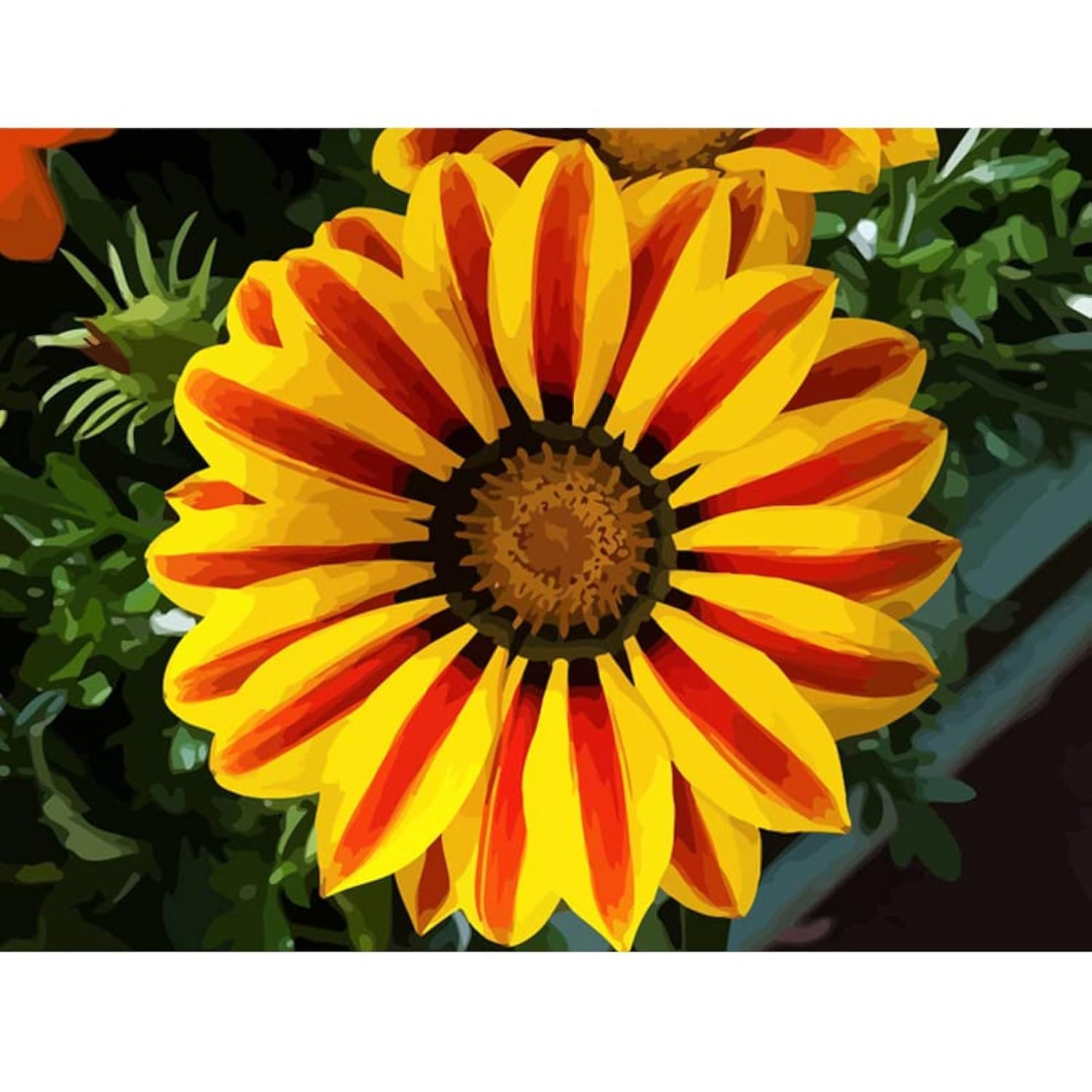 ABEUTY DIY Fabric Decorating Kits, Paint by Numbers Flowers Bush Plants 16x20 inches Number Painting Wall Art (Flower, Wooden Framed)