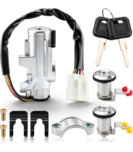 Amazon.com: Ignition Switch Lock Cylinder D8700-40U11 for 1995-98