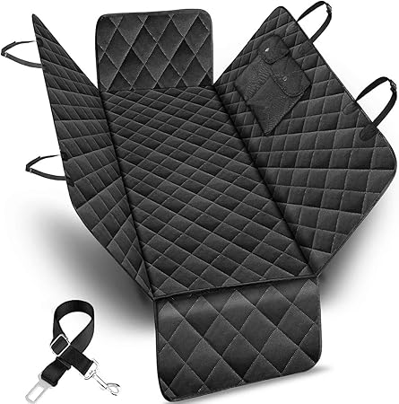 english springer spaniel puppy training