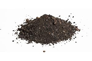 Best Botanicals Black Walnut Hull Cut 16 oz.