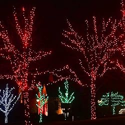 Dazzle Bright 300 LED Christmas String Lights, 100