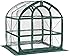 Flower House FHSP300CL SpringHouse Greenhouse, Clear