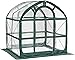 Flower House FHSP300CL SpringHouse Greenhouse, Clear