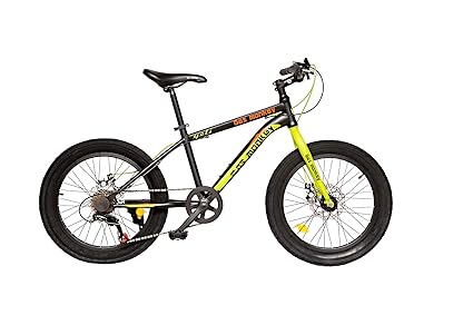 scholl fat bike